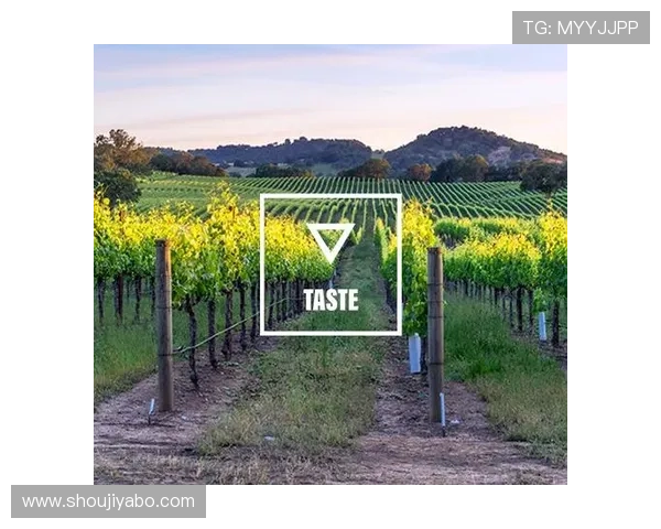 亞博体育网址最新入口提供安全稳定的登录体验助你轻松畅玩体育赛事