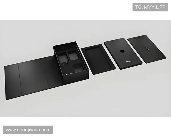 赛博体育会员登录界面设计与优化建议提升用户体验的最佳实践